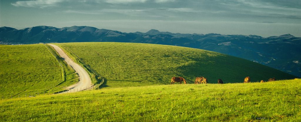 Umbria Countryside