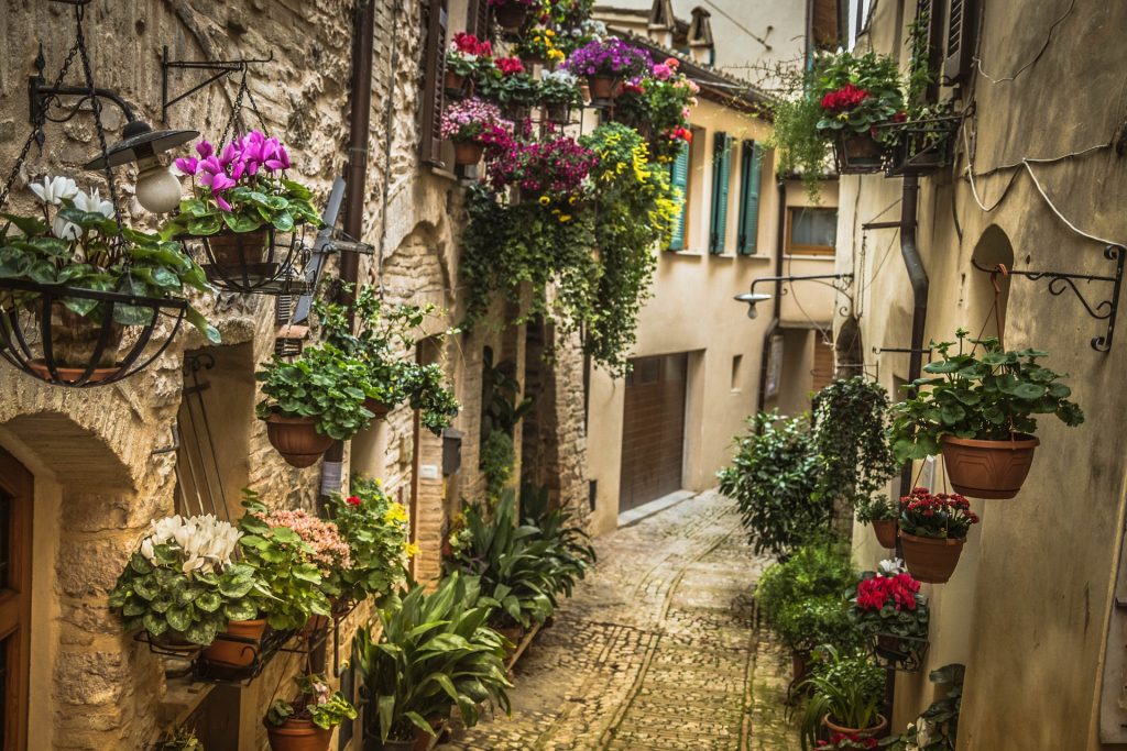 Umbria Alley